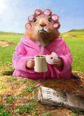 Bon Dimanche !